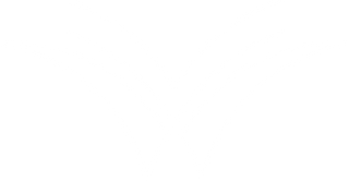 Waycel